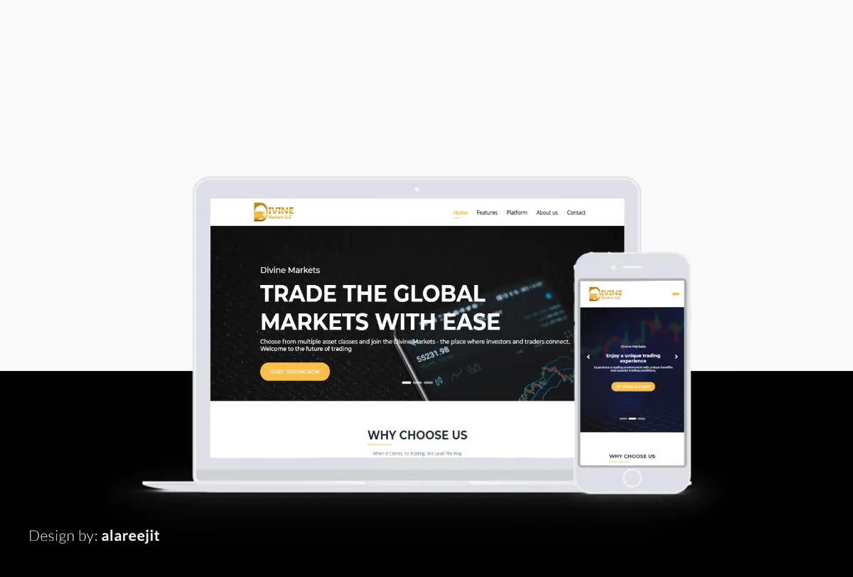 Basic Web Design Price